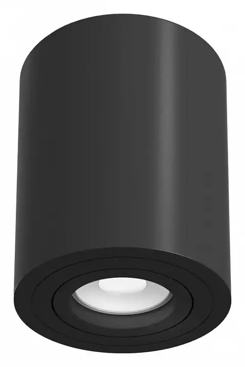 Потолочный светильник Maytoni Alfa C016CL-01B