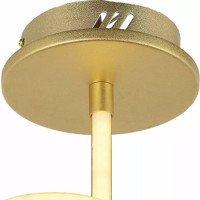 Потолочный светодиодный светильник Arti Lampadari Angelo L 1.2.35.03 G