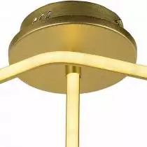 Потолочный светодиодный светильник Arti Lampadari Angelo L 1.2.35.08 G