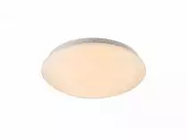 Настенно-потолочный светодиодный светильник Globo Onega 41727-112
