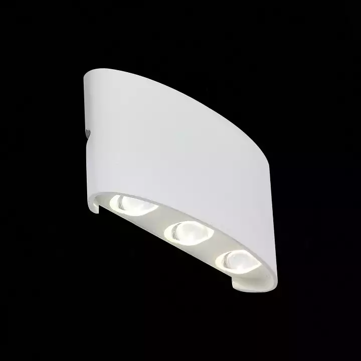 Уличный настенный светодиодный светильник ST Luce Bisello SL089.501.06