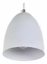 Подвесной светильник Arti Lampadari Torre E 1.3.P1 W