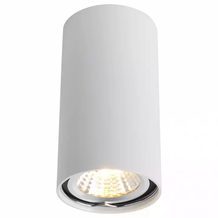 Потолочный светильник Arte Lamp A1516PL-1WH фото