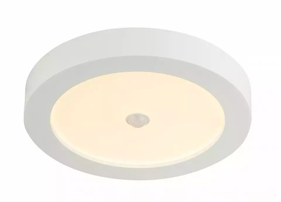 Потолочный светодиодный светильник Globo Paula 41605-18S