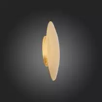 Настенный светодиодный светильник ST Luce Aureo SL457.201.01