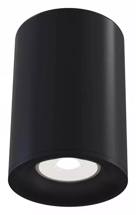 Потолочный светильник Maytoni Alfa C012CL-01B