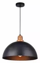 Подвесной светильник Arte Lamp Eurica A4249SP-1BK