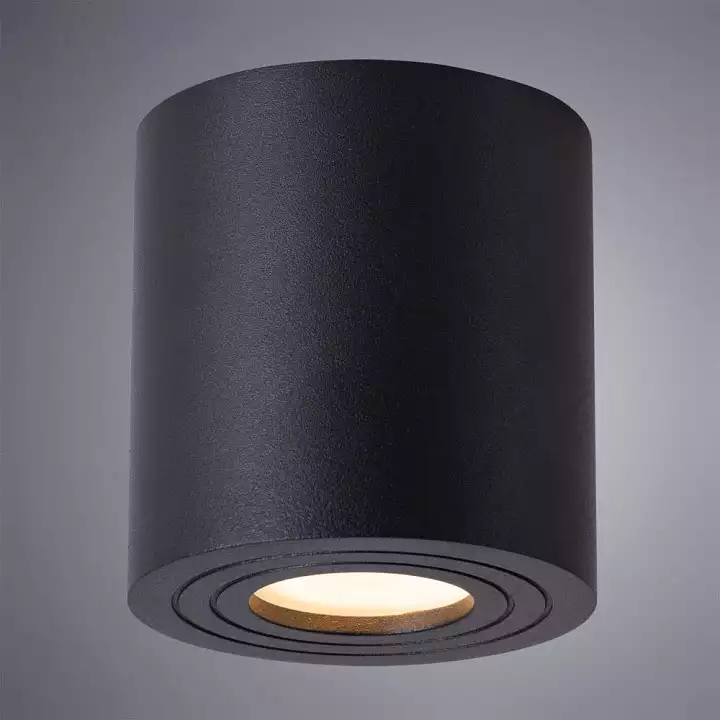 Накладной светильник Arte Lamp Galopin A1460PL-1BK