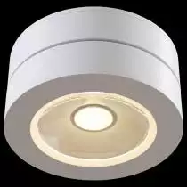 Накладной светильник Maytoni Alivar C022CL-L12W
