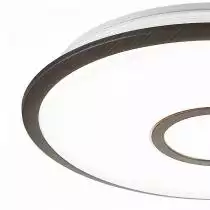 Накладной светильник Citilux Старлайт Смарт CL703A45G