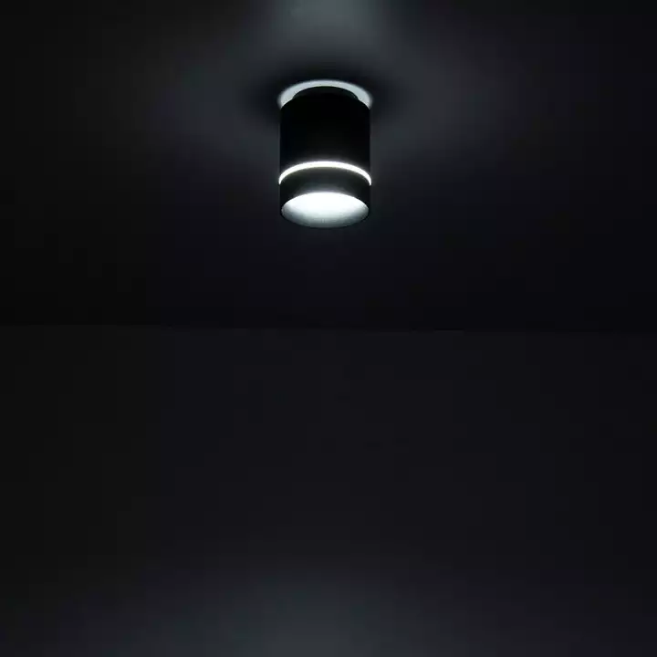 Накладной светильник Citilux Борн CL745011N