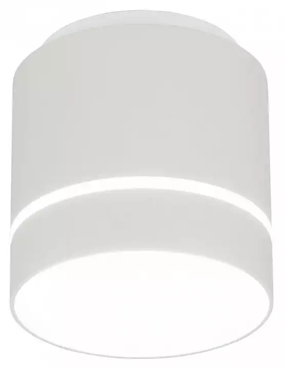 Накладной светильник Citilux Борн CL745020N