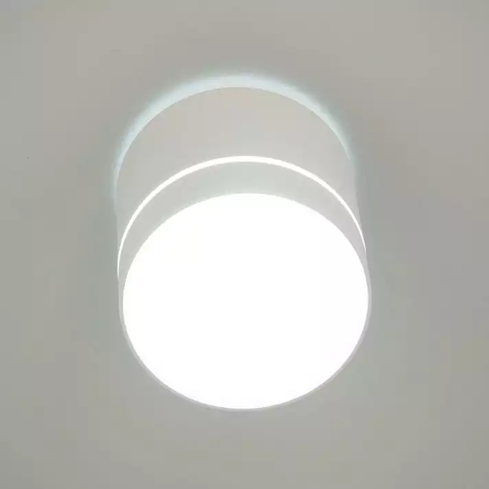 Накладной светильник Citilux Борн CL745020N