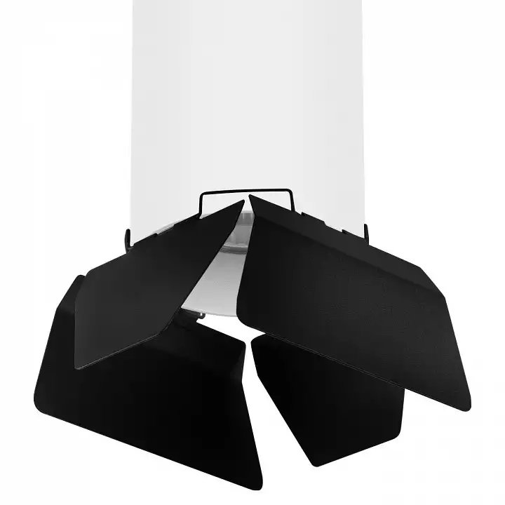 Накладной светильник Lightstar Rullo 3 R6496487