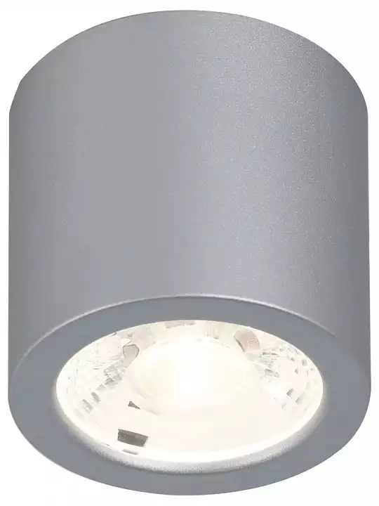 Накладной светильник Favourite Deorsum 2808-1C