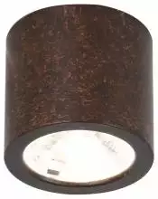 Накладной светильник Favourite Deorsum 2809-1C