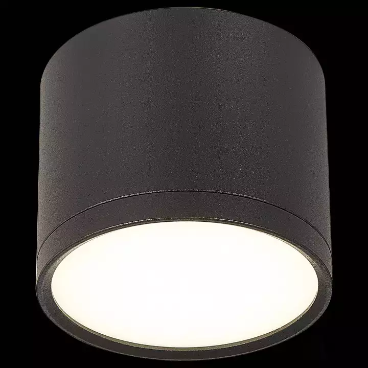 Накладной светильник ST-Luce Rene ST113.442.09