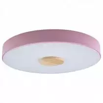 Накладной светильник Loft it Axel 2 10003/24 Pink