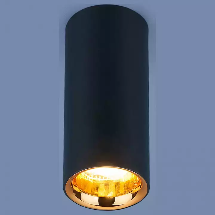 Накладной светильник Elektrostandard DLR030 a040668