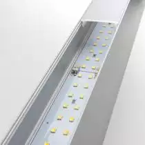Накладной светильник Elektrostandard 101-100-40 a041476