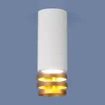 Накладной светильник Elektrostandard DLN102 a047748