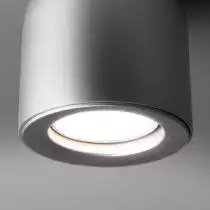 Накладной светильник Elektrostandard DLN116 a050674