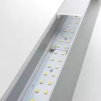 Накладной светильник Elektrostandard 101-100-40-103 a041468
