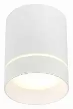 Накладной светильник ST-Luce ST115 ST115.532.12