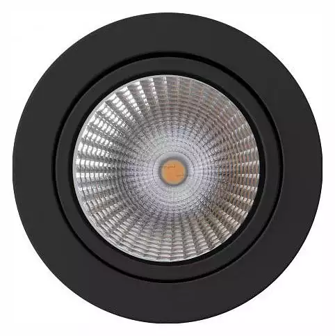 Накладной светильник Arlight SP-FOCUS-R120-16W Warm3000 (BK, 24 deg, 230V) 029533