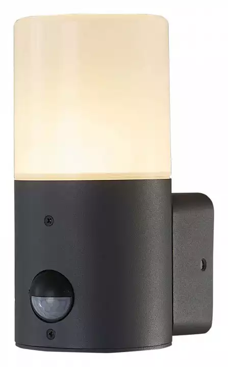 Светильник на штанге Escada Pair 581/1A