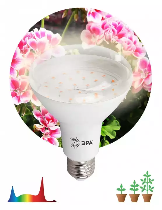Лампа светодиодная Эра  E27 14Вт 2150K FITO-15W