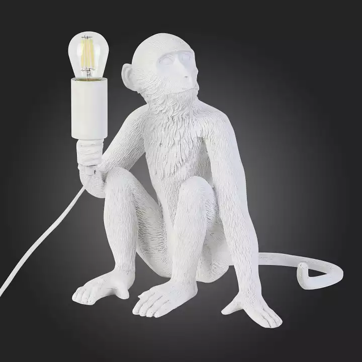 Настольная лампа декоративная EVOLUCE Tenato SLE115104-01