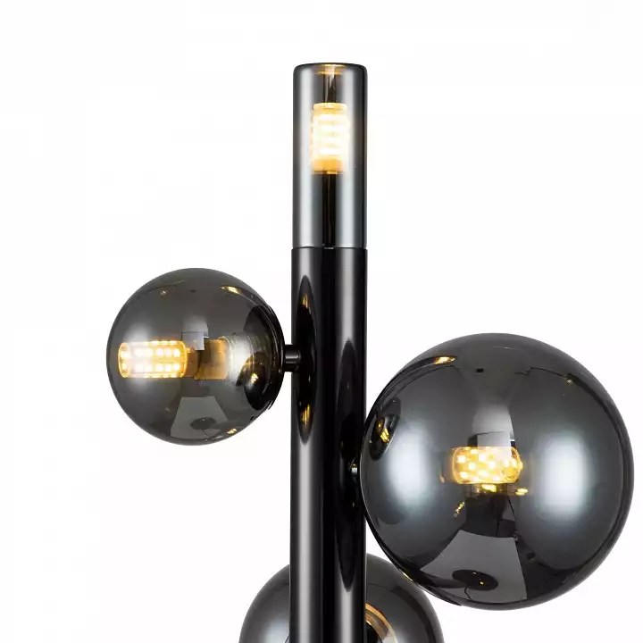 Настольная лампа декоративная Indigo Canto 11026/4T Black