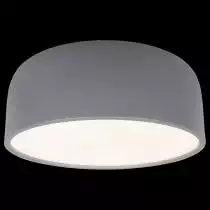 Накладной светильник Loft it Axel 10201/350 Grey