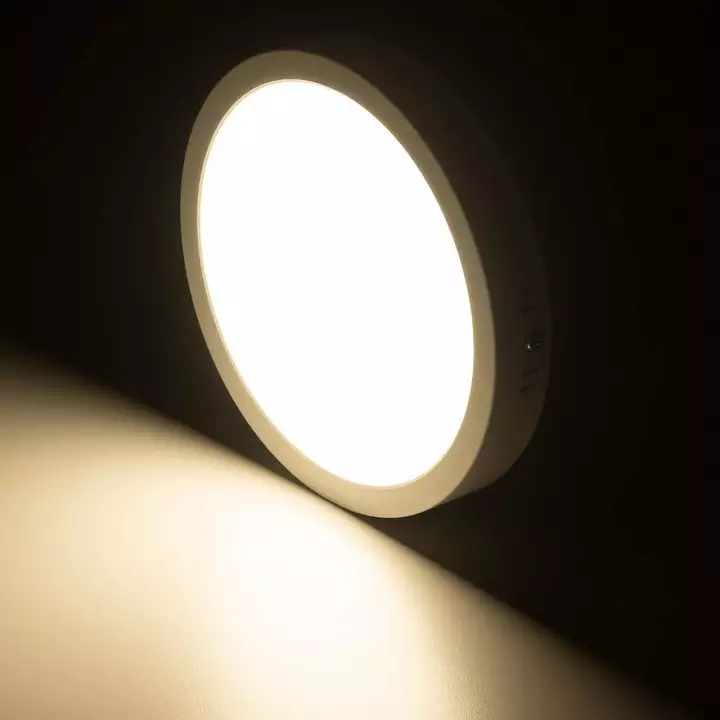 Накладной светильник Citilux Галс CL5522N фото