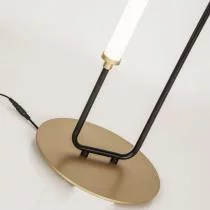 Настольная лампа декоративная Favourite Inspire 4100-1T