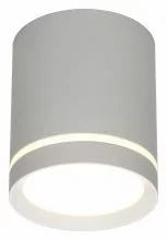 Накладной светильник Omnilux Capurso OML-102429-05