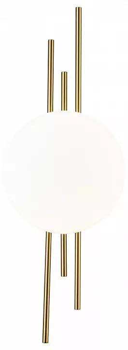 Накладной светильник Indigo Astro 14007/1W Brass