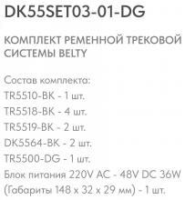 Комплект трековый Denkirs Belty SET DK55SET03-01-DG