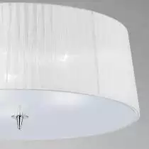 Потолочный светильник Mantra Loewe 4640