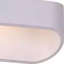 Потолочный светильник ST Luce Mensola SL582.101.01