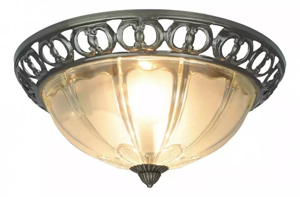 Потолочный светильник Arte Lamp 16 A1306PL-2AB