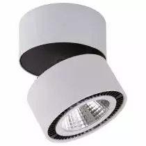 Потолочный светодиодный светильник Lightstar Forte Muro 214830