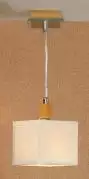 Подвесной светильник Lussole Montone LSF-2506-01